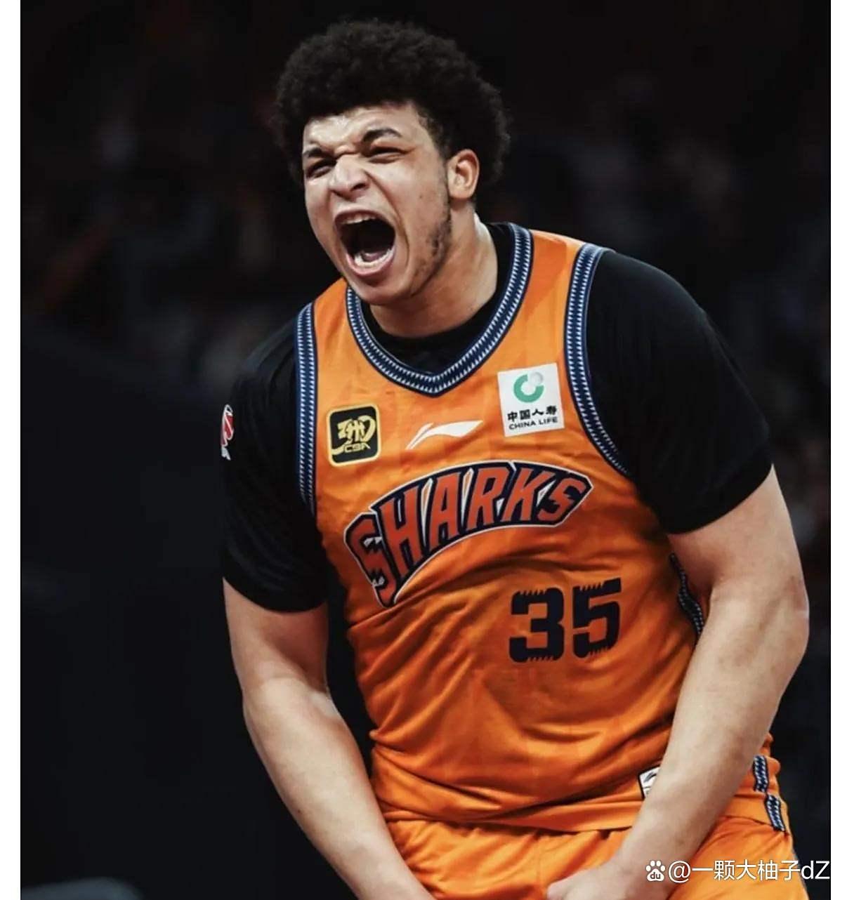 Yabo Sports-集结日广厦男篮备战德甲，再遭质疑细节曝光，压力陡增，赛季目标并未改变的简单介绍-Yabo Sports